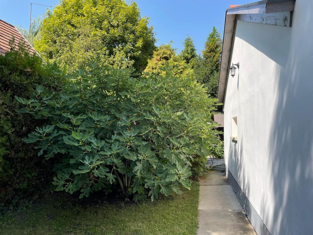 Ferienwohnung Iker Nyaralo Balatonfenyves Exterior foto